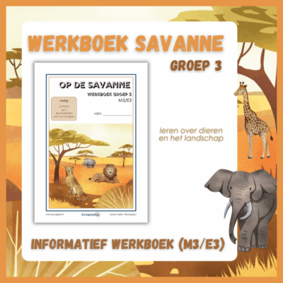 Informatief werkboek savanne groep 3