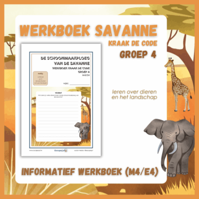 Informatief werkboek kraak de code savanne groep 4