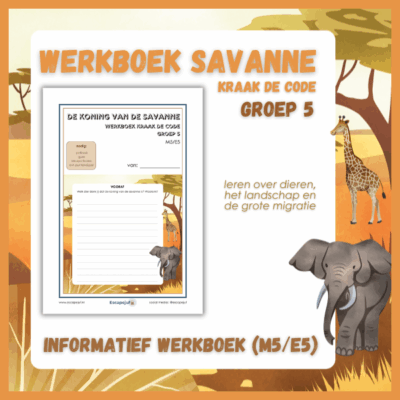 Informatief werkboek kraak de code savanne groep 5