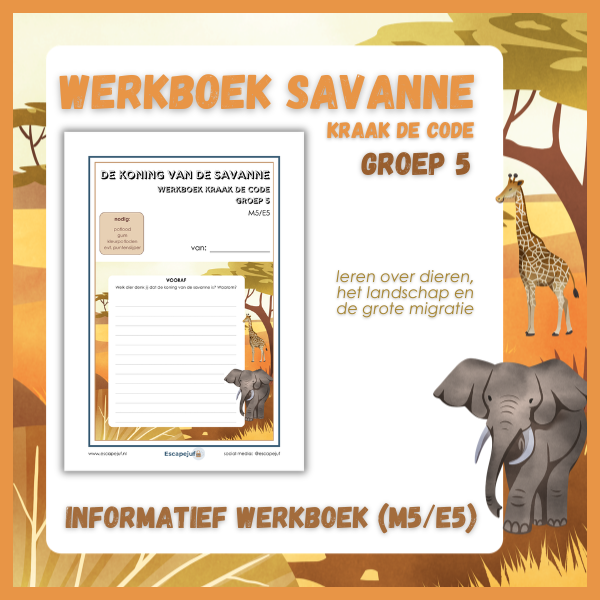 Informatief werkboek kraak de code savanne groep 5