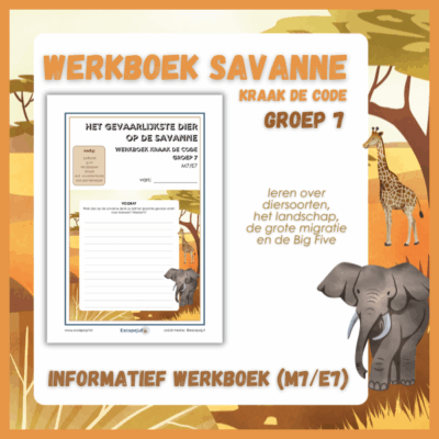 Informatief werkboek kraak de code savanne groep 7