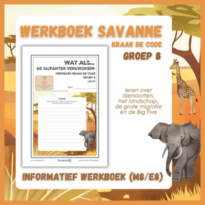 Informatief werkboek kraak de code savanne groep 8